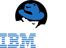 IBM Hat