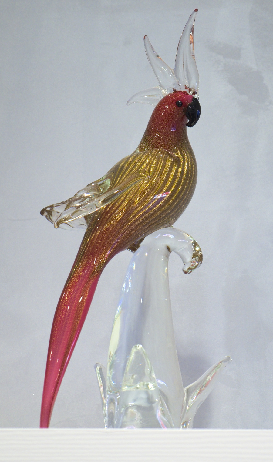 parrot