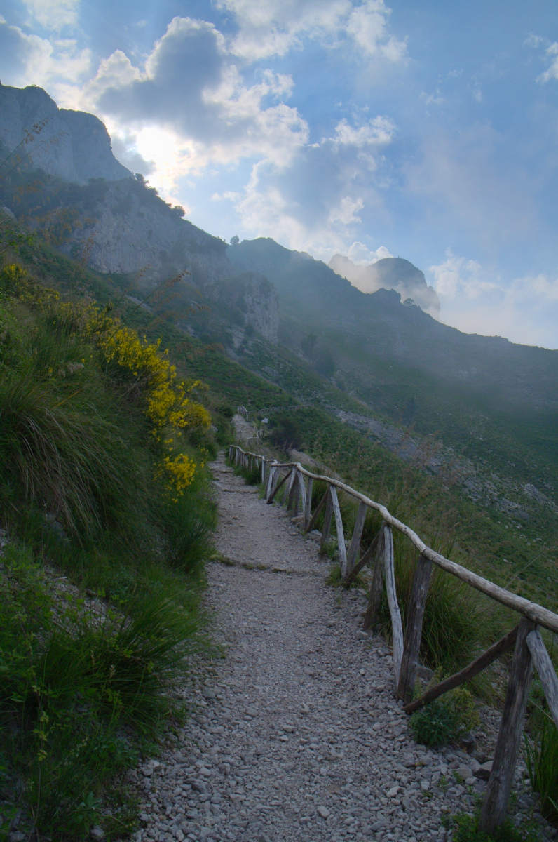 the path