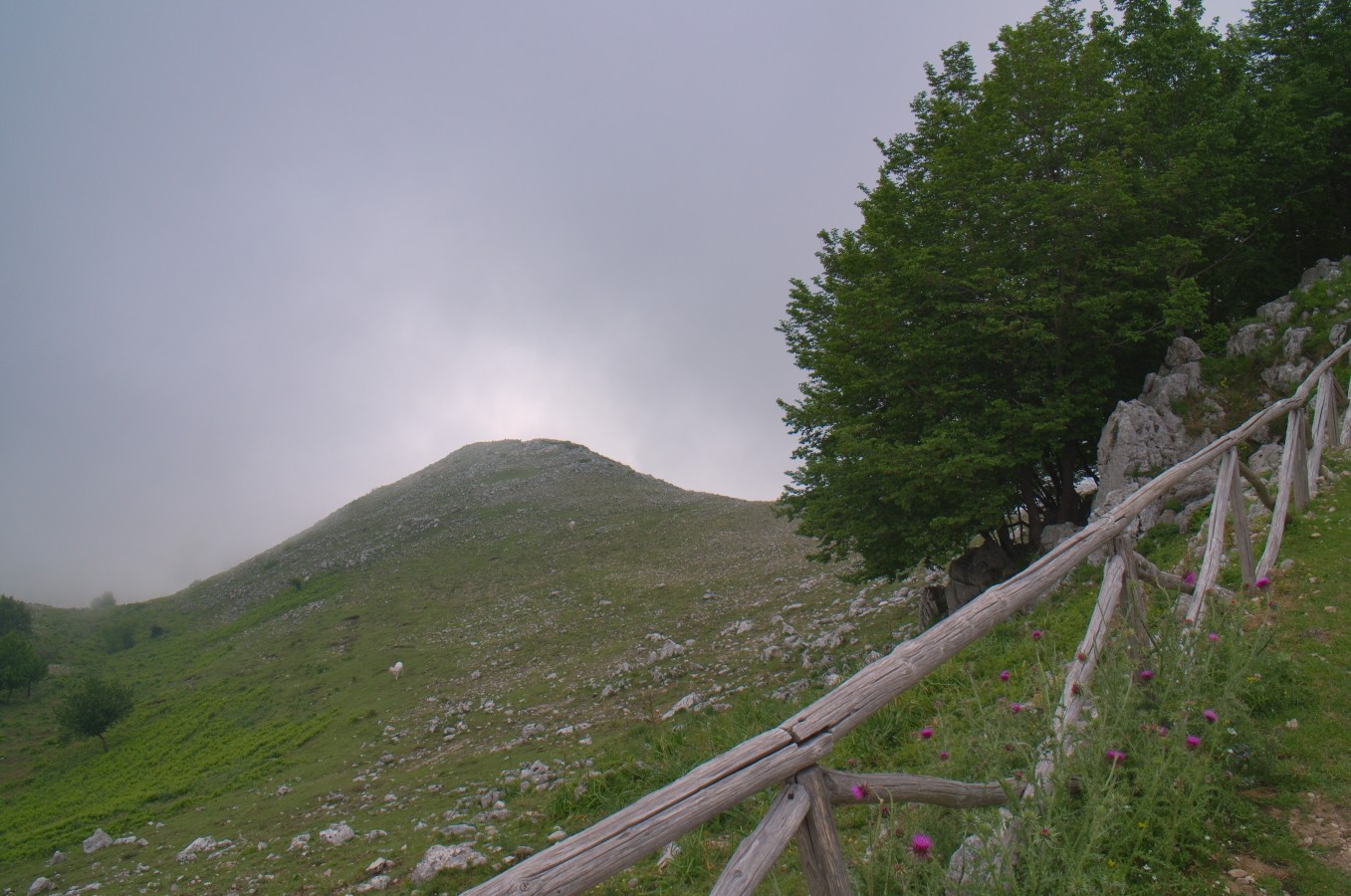 the glowing hill